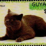 guyana6617
