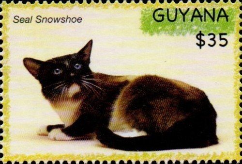 guyana6618