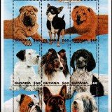 img20180512_15585993