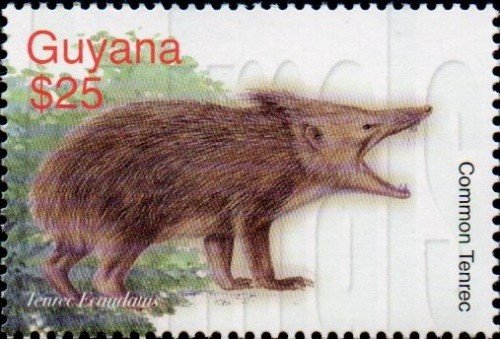 guyana6423