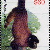guyana6424