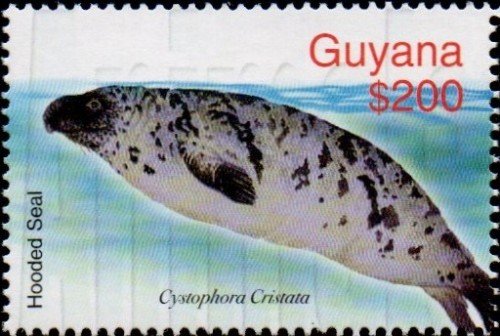 guyana6426
