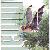 guyana6428