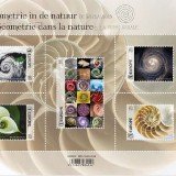 Geometrics-in-Nature-1--Spirals