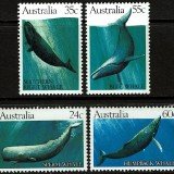 Aus-Whales