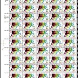 US-2748-pane50-11111LL-19012103m-25p