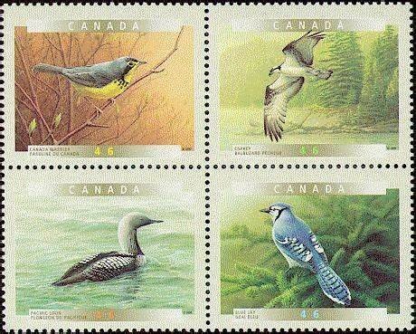 birdsofcanada.jpg