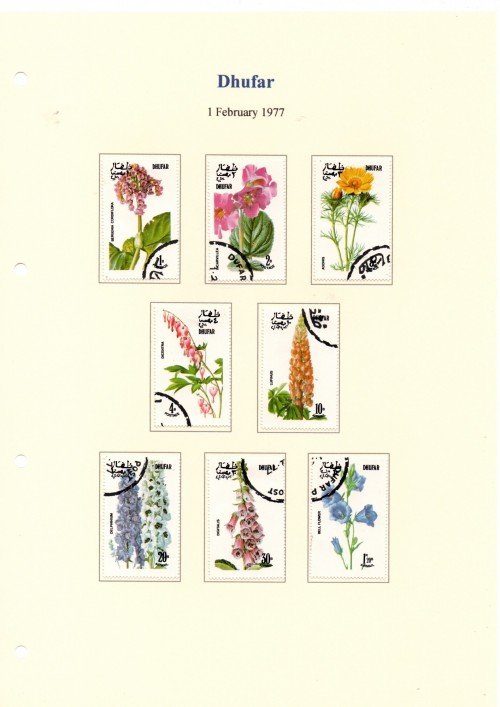 dhufar-6.jpg