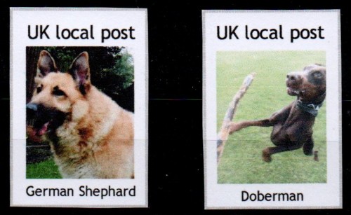 first-locals.jpg
