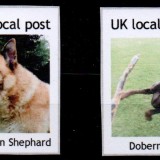 first-locals
