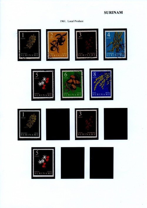 surinam-10.jpg