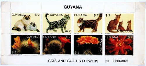 Guyana-B4.jpg