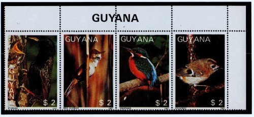 Guyana-B5.jpg