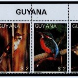 Guyana-B5