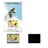 Guyana-B25
