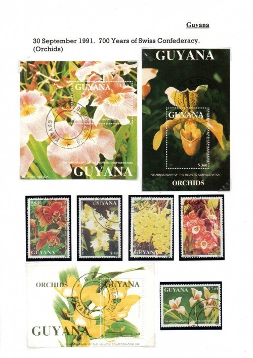 Guyana-B47.jpg