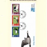 Islay16