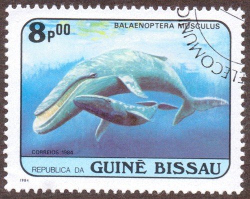 Guine-Bissau-stamp-598u.jpg