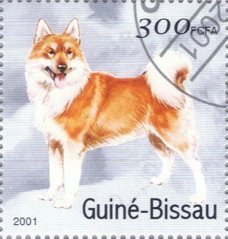 Guinea---Bissau-stamp-0001du.jpg