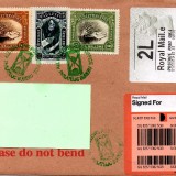 dead-letter-office