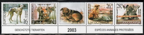 serbia-lostdogs.jpg