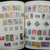 88minkusalbumin2019j