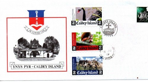 caldey 7