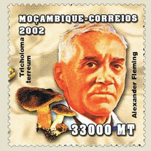 Mozambique-2002-Alexander-Fleming-true.jpg