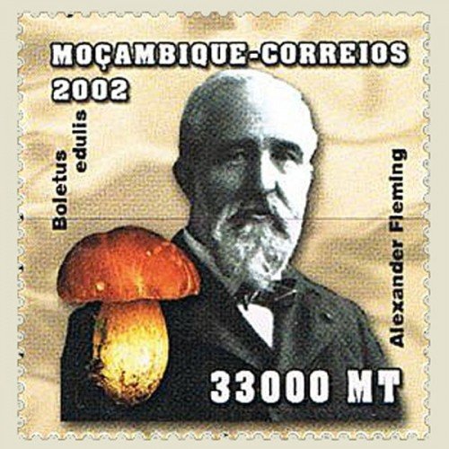 Mozambique-2002-Alexander-Fleming.jpg