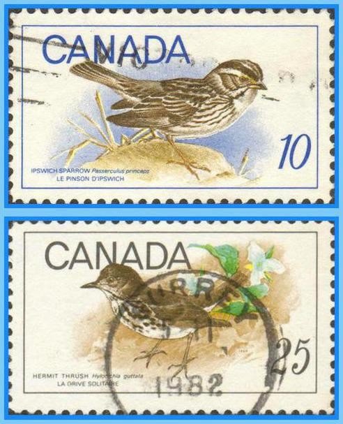 canada-birds2.jpg