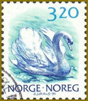 norway-muteSwan881.jpg