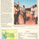 UFUN-brn-v1-Guinea-p3-50p