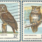 usa-owls