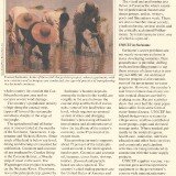 UFUN-brn-v1-Suriname-p6-50p