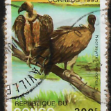 congo-correos.png