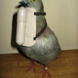 Pigeon-Post