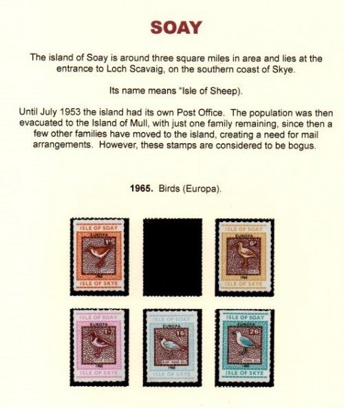 Soay-1.jpg