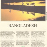 UFUN-brn-v1-Bangladesh-p2-50p