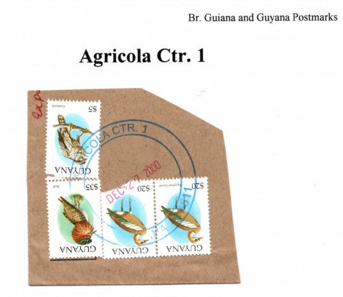 guyana-agricola-ctr-1.jpg