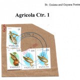 guyana-agricola-ctr-1