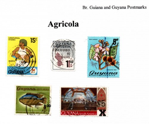 guyana-agricola.jpg