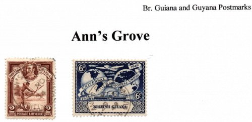 guyana-anns-grove.jpg