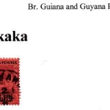guyana-arakaka