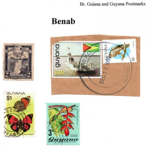 guyana-benab.jpg