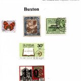 guyana-buxton