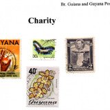 guyana-charity