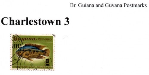 guyana-charlestown-3.jpg
