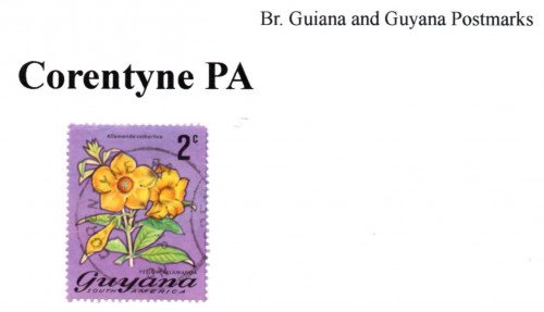 guyana-corentyne-PA.jpg