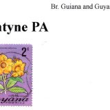 guyana-corentyne-PA