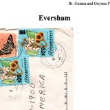 guyana-eversham